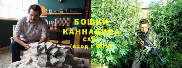 крисы Гусев