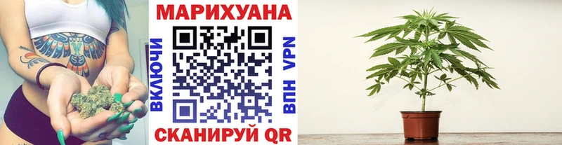 МЕГА ТОР  как найти закладки  Ачхой-Мартан  Бошки марихуана план 